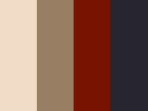 Capsule wardrobe color palette example with black, brown, beige, and red swatches.